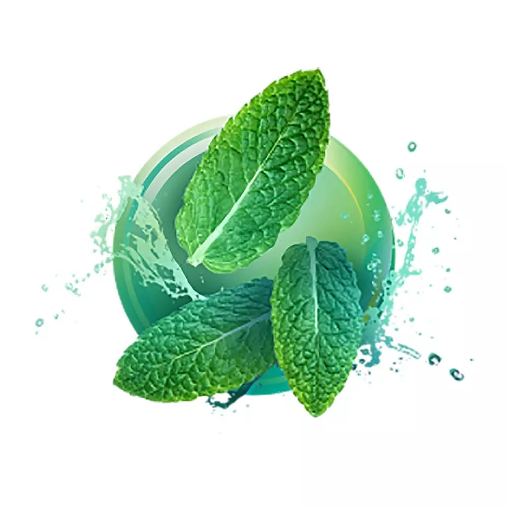Neo Demi - Green Click (10 packs)
